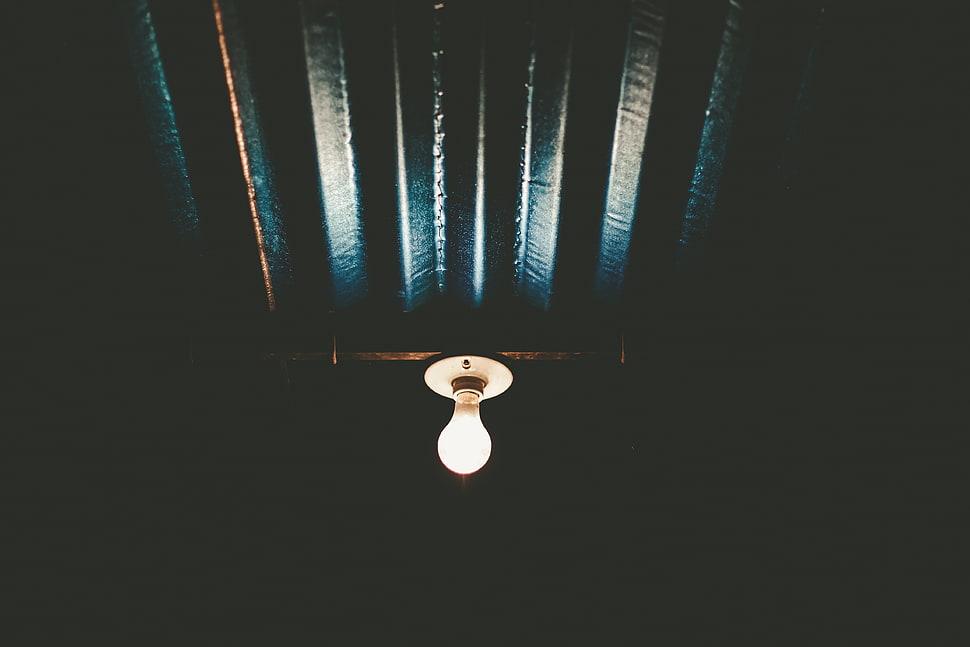 turned on light bulb HD wallpaper