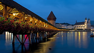 Charles Bridge, Prague, bridge, reflection, flowers, Luzern