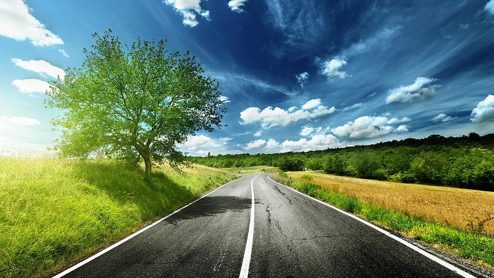 asphalt road, landscape, road HD wallpaper