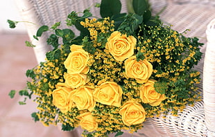 yellow roses flower arrangement HD wallpaper