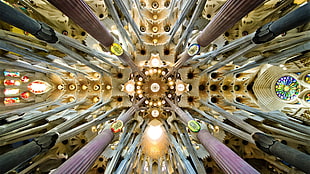 white ceiling art, architecture, cathedral, Sagrada Familia, Barcelona