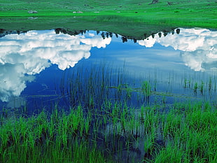blue bodies of water surrounded by green grass HD wallpaper