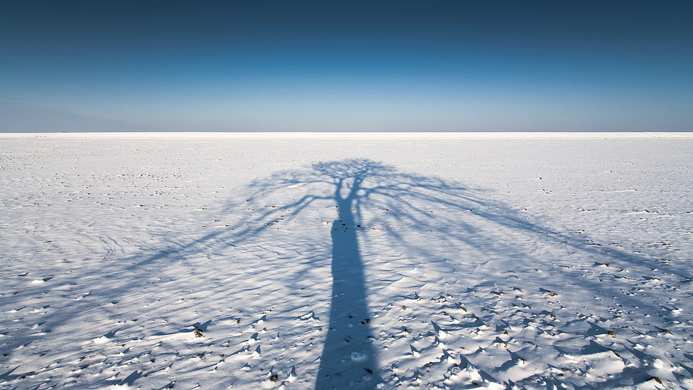 white ground, shadow, snow, winter, landscape HD wallpaper