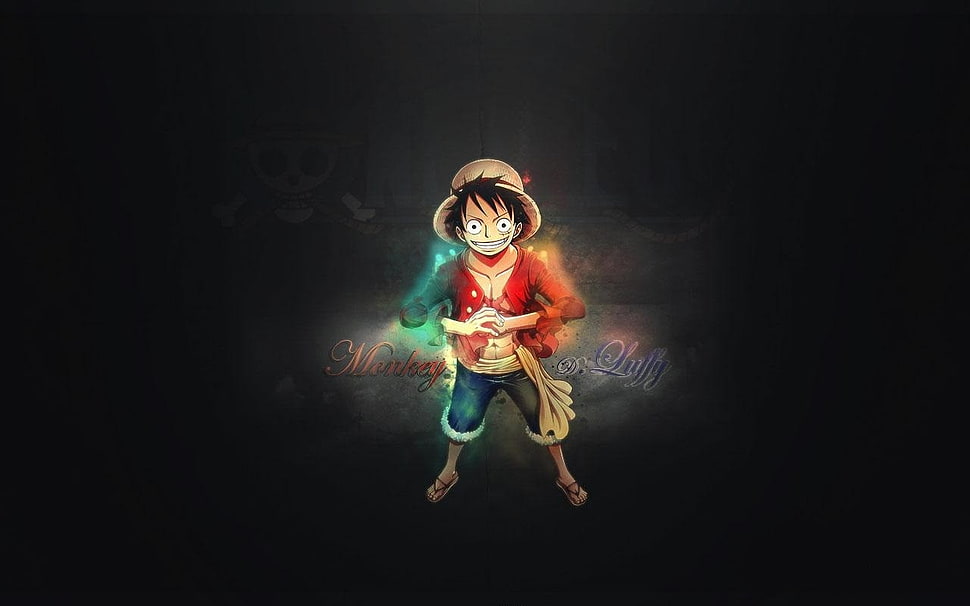 One Piece Monkey D. Luffy digital wallpaper HD wallpaper
