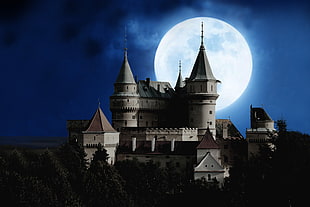 castle in front full moon photo HD wallpaper
