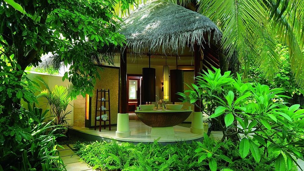 brown and white wooden hut HD wallpaper