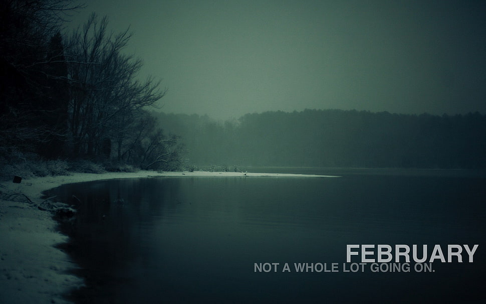 body of water near trees with text overlay, February, month, nature, cold HD wallpaper