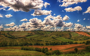 green and brown land field during daytime in landscape photography