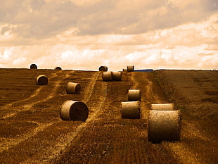 brown rolled haystacks