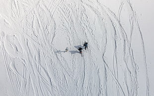 sports, skiing, skis HD wallpaper