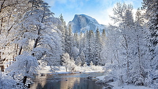 river and mountain, landscape, nature, winter, river