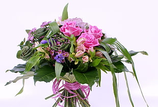 pink and purple flowers with green leaves