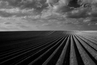 grayscale photography of plane fieled
