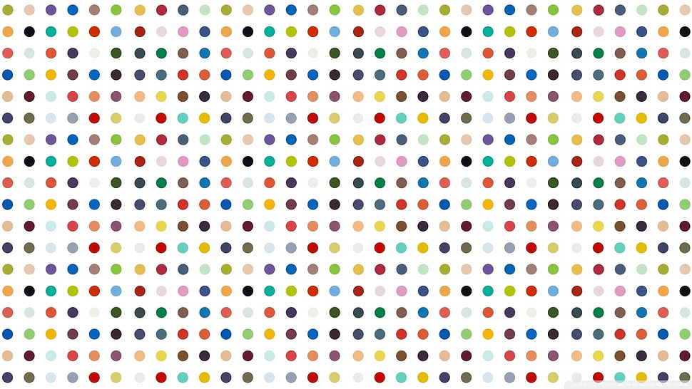 white and multicolored polka-dot wallpaper HD wallpaper