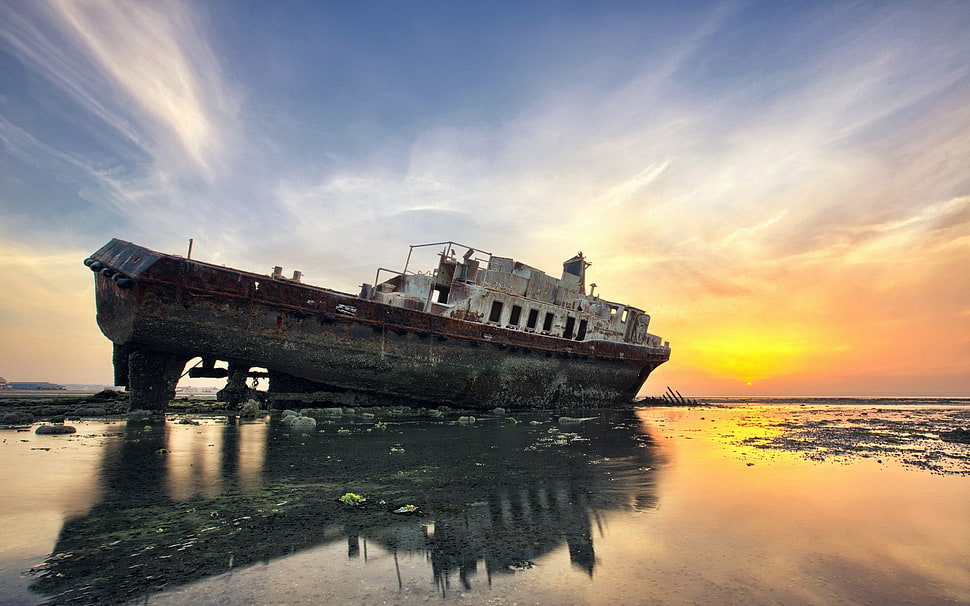 shipwreck, nature, landscape, water, sea HD wallpaper