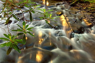 landscape photography of time lapse river