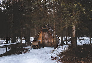 brown wooden cabin surrounded by trees with snow on ground at daytime