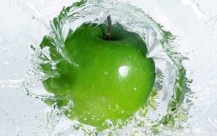 green apple fruit, macro, simple background, apples, fluid HD wallpaper