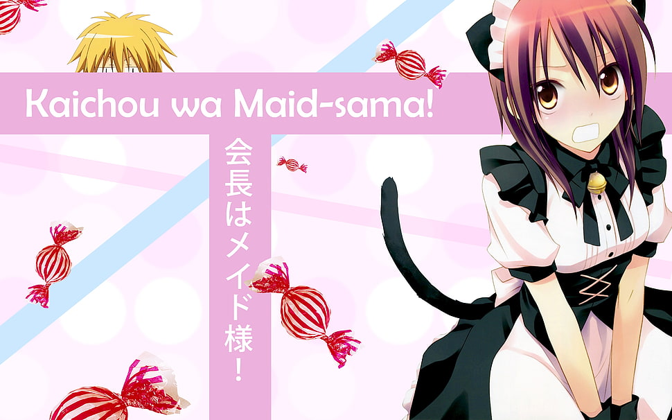 Kaichou wa Maid-Sama anime character HD wallpaper