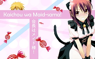 Kaichou wa Maid-Sama anime character HD wallpaper
