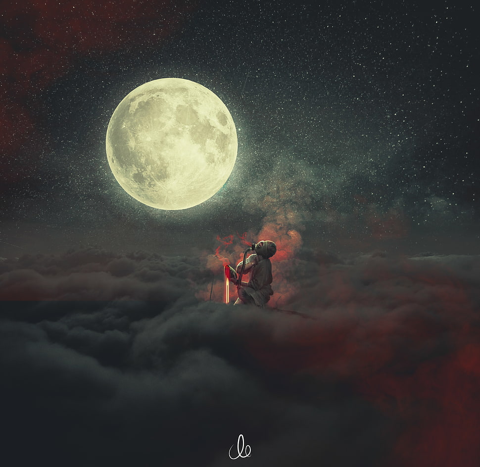 white full moon illustration HD wallpaper