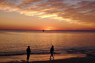 two person walking on seashore during sunset