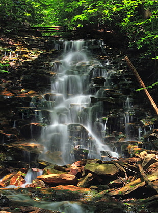 time lapse photography of waterfall falling from layered rocks in between plants and trees during daytime, dutchman