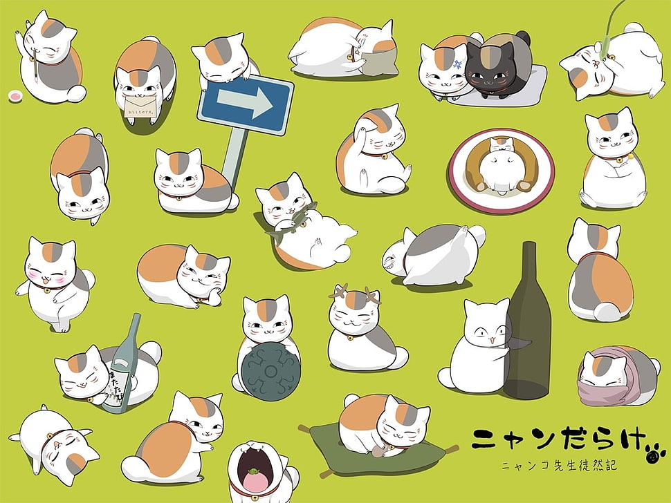 green and white cat print board, Natsume Book of Friends, Natsume Yuujinchou HD wallpaper