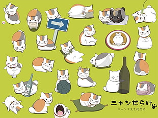 green and white cat print board, Natsume Book of Friends, Natsume Yuujinchou