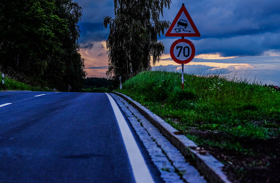 clear road inline of trees and grass under grey clouds HD wallpaper
