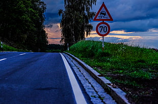 clear road inline of trees and grass under grey clouds HD wallpaper