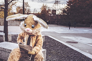 brown rabbit mascot, Hare, Costume, Reading