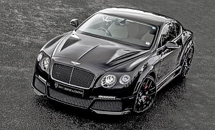 black Bentley continental GT HD wallpaper