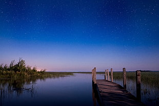 brown wooden dock, nature, water, trees, stars