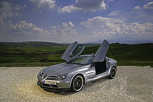 gray Mercedes-Benz AMG GT HD wallpaper