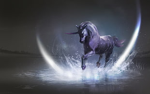 gray unicorn digital wallpaper, artwork, fantasy art, unicorns, horse