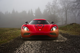 red and black car bed frame, car, motors, Koenigsegg Agera, forest HD wallpaper