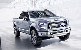 gray Ford crew-cab pickup truck, Ford USA HD wallpaper