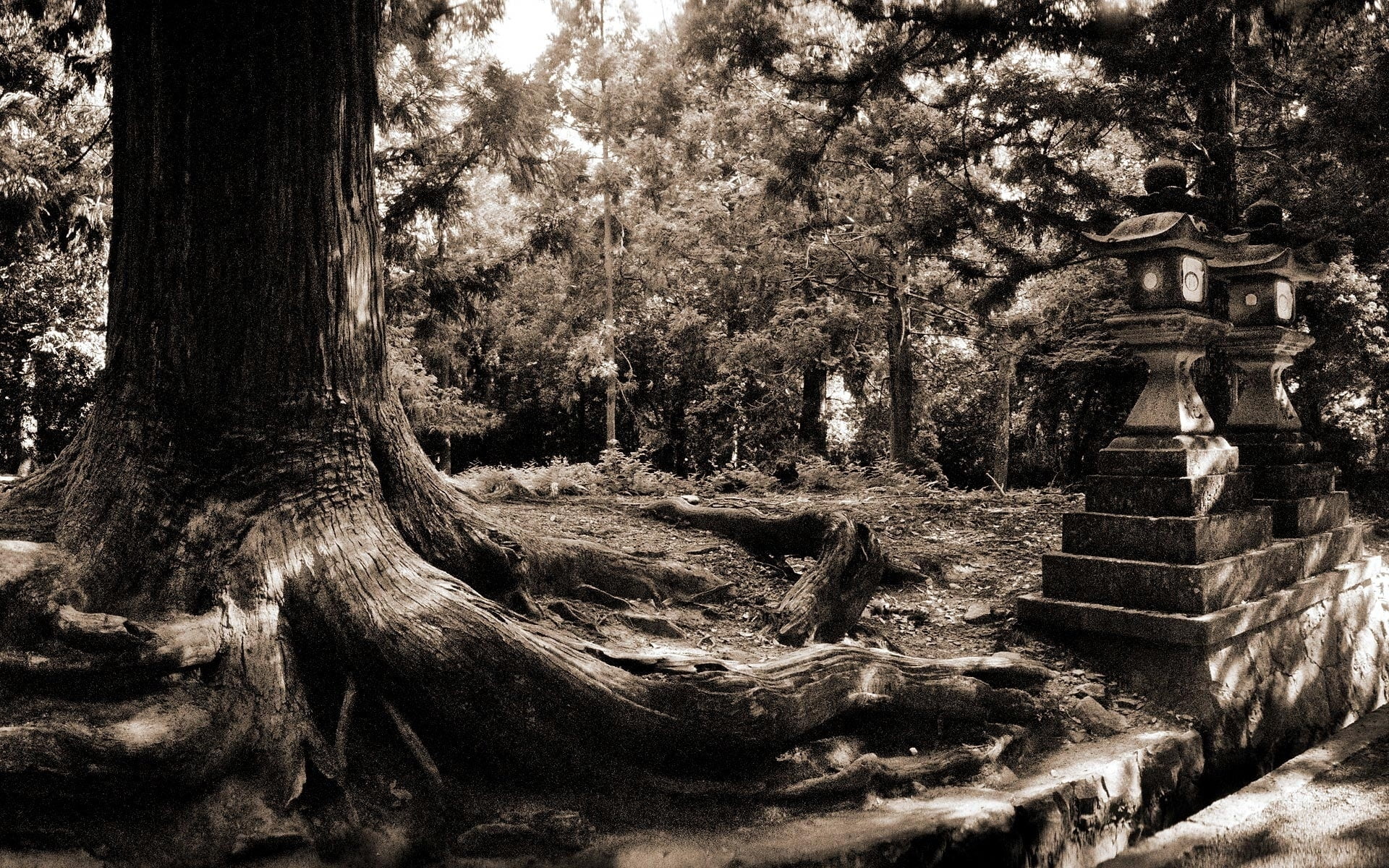 greyscale photo of post lamps near trees