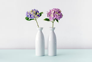 pink and purple flowers on two vases