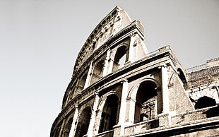 Colosseum, Roma, Italy HD wallpaper