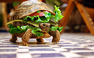 turtle-themed burger, turtle, animals, burgers, sandwiches HD wallpaper