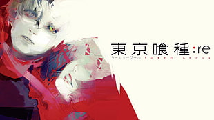 Tokyo Ghoul poster, Tokyo Ghoul:re, Kaneki Ken, Tokyo Ghoul HD wallpaper