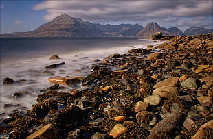 seashore with rocks, elgol HD wallpaper