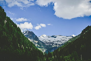 panoramic photography of mountain alps with trees HD wallpaper