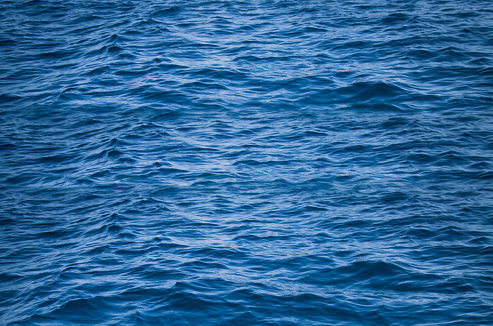 blue and white area rug HD wallpaper
