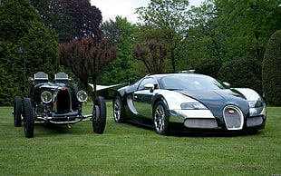 silver and black Bugatti Veyron, Bugatti, car