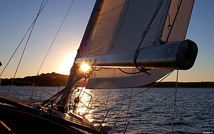 white sailboat, sailing ship, sea, sunset, boat