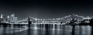 bridge near city gray scale photo, brooklyn bridge HD wallpaper
