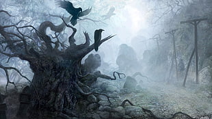 painting of ravens on tree, raven, crow, fantasy art, nature